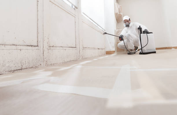 24/7 Emergency Mold Remediation experts in Morristown, TN